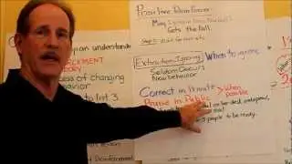 Reinforcement Theory