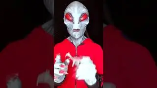 Alien Desperately Seeks Your Help Identifying This Strange Earth Animal! #alien #cryptid #ufo