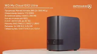 Обзор сетевого хранилища WD My Cloud EX2 Ultra WDBSHB0000NCH-EEUE | Ситилинк