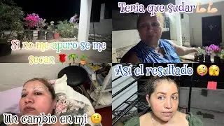 ME INPLANTE  CEJAS 🤨 YA EMPEZE MI JARDIN 🪴🎋ESTÁ COMIDA COMO QUE TIENE OTRO SABOR🥘🥘