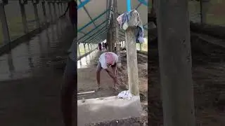 Don&rsquo;t give a shit other options💯🦅#trending#shortsvideo#farmchallenge#motivation#business