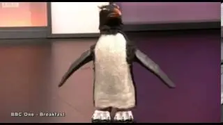 creators of penguin-cam demonsstrate the invention on bbc breakfast.