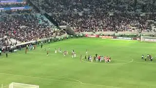 Torcida do Fluminense comemorando a vitória contra o palmeiras!!! Brasileiro 2024.