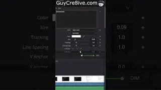 Add Timer DaVinci Resolve 20 👆 Full Above