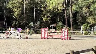 DYPSY DU VERRON Grand Prix 130