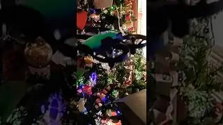 U61 tree take off Loolinn youth drone