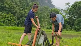 Setting traps and harvesting giant eels with dad - Making spicy grilled eel, everyday life