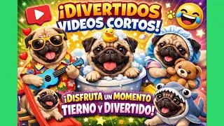 Pugs Divertidos y Tiernos 🐾 Videos Cortos para Pasar un Buen Momento | Funny & Cute Pug Shorts 🐶😂