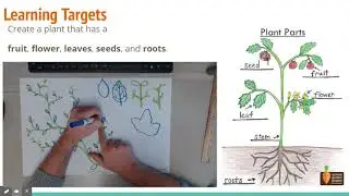 Fourth Grade Art Lesson 11/2/2020