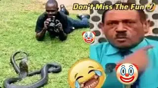 Try Not To Laugh Challenge 😂 ▶️ LEVEL 34 | Instant Regret Fails Compilation 2025