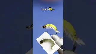 Realistic Caddis Larva!!