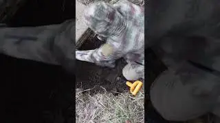 ОТКОПАЛ ЧЕМОДАН В ЛЕСУ, А ТАМ...  #новости #находки #находка