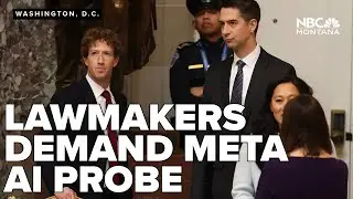 Lawmakers demand probe into Meta&rsquo;s AI policies after Reuters expos&eacute;