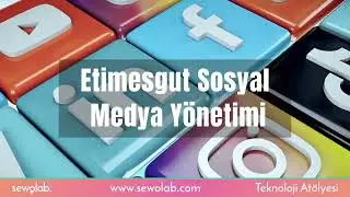 Etimesgut Sosyal Medya Yönetimi - SEWOLAB