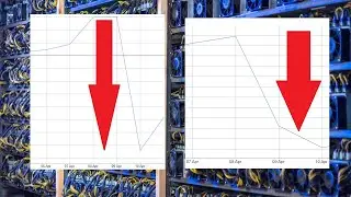 Bitcoin SV & Bitcoin Cash Network Hashrates DROP After Halvings...