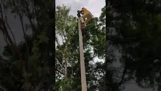 TSSPDCL JLM POLE TEST