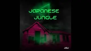 Japanese jungle 🍃  #shorts #new #trending #music #producer #9jotta #9kartel #astakki #hazman #jotta