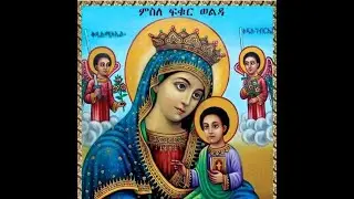 በኢትዮጵያ ኦርቶዶክስ ተዋህዶ ቤተክርስቲያን የኦስተን ማኅደረ ስብሐት ልደታ ለማርያም ቤተክርስቲያን