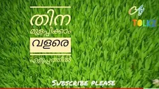 HOW TO GROW MILLET / THINA / PARROT FOOD/ GREEN 🌳GRASS
