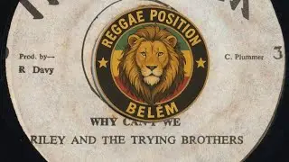 Riley And The Trying Brothers - Why Can't We [Legendado PT-BR]