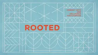PreTeen | Rooted Series | Money