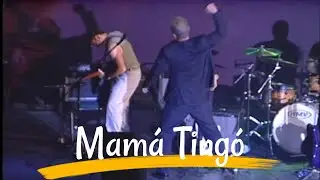 Mama Tingo │ Luis Terror Dias En Concierto