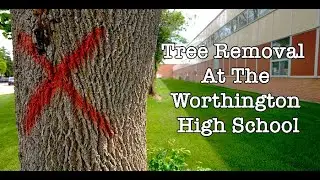 Worthington High School Ash Tree Removal (2025)