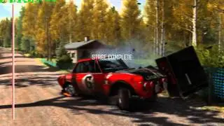 Dirt Rally - GTX 980 Ti OC - 1080p[60FPS]