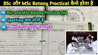 BSc and MSc Botany Practical कैसे होता है || BSc Practical exam full details