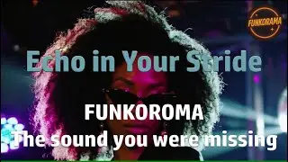 FUNKORAMA &ndash; Echo in Your Stride 🔊 #funk  #soul  #disco  #80smusic
