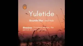 Master Your Vocabulary with Pro Overseas: IELTS Words of the Day - Yuletide