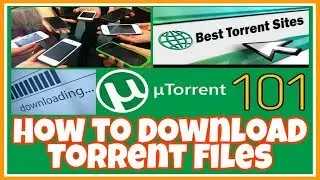 How to Download Torrent Files 101 / UTorrent / Movie Torrents for Beginners
