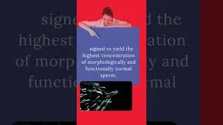 Semen Processing