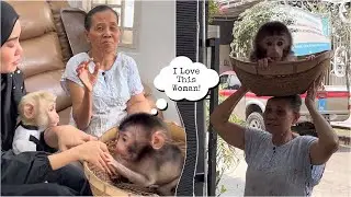 Mommy was asked to adopt a newborn baby monkey by a strange grandmother who came to her house