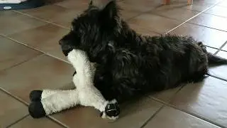 Twistou