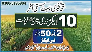 Land For Sale 10 Acre Agriculture Land For Sale very low price land