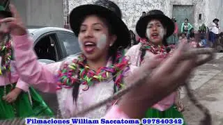 CARNAVAL DE CANARIA 2019 Filmaciones WILLIAM SACCATOMA