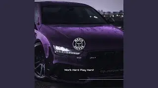 Work Hard Play Hard