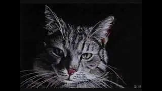 More Cats! ~ Art by Sandrine Curtiss