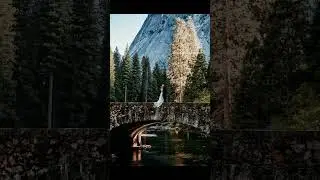 Now THAT'S the money shot! #weddingphotographer #yosemite #destinationwedding