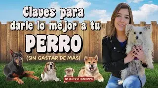 Descubre el secreto para una relación perfecta con tu mascota con los consejos de una adiestradora
