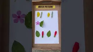 Pattern matching in the nature! #toddleractivities #homeschooling #toddlers #ytshorts#nature #shorts