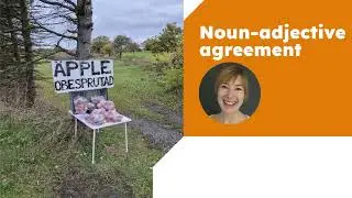 Swedish noun-adjective agreement - Sweasify Language Lessons