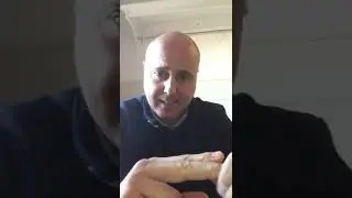 Propionibacterium freudenreichii. Fermento l&aacute;ctico