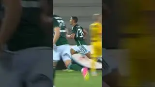 Djuricic is crazy with Panathinaikos☘️