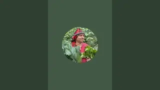 Kadriye'nin Dünyası  kanalı canlı yayında