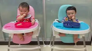 No. 21 Eggplant / Brinjal - Twins Baby Led Weaning (BLW)