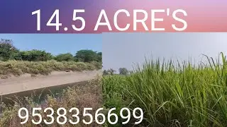 Xx) 14.5 ACRE'S | AGRY LAND'S FOR NEW VISIONARY AND HEALTHY LIVING | C@9538356699@SurabhiProperties