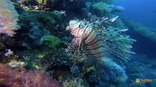Safari Wrakowe Egypt Top Wrecks