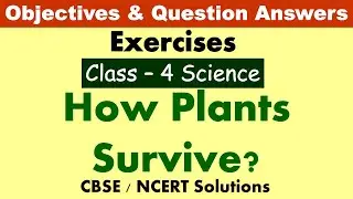 How Plants Survive? | Class:4 Science | Exercises and Question Answers| CBSE/NCERT | MCQ's